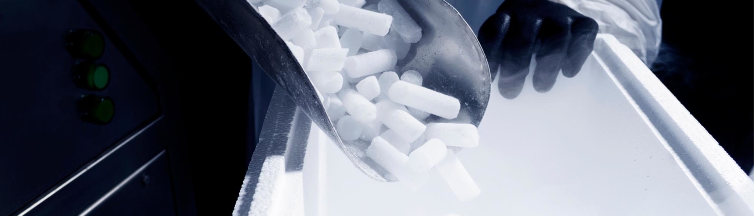 Image of a person putting dry ice into a styrofoam container.