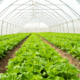 Sustainable Uses of Industrial CO2